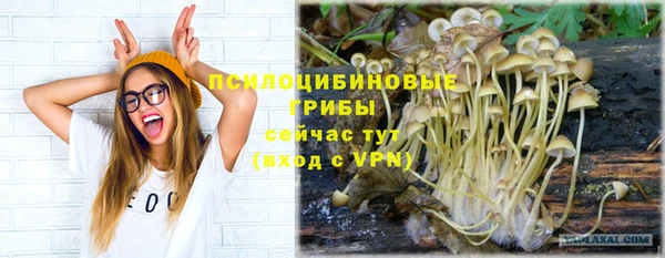 каннабис Вяземский